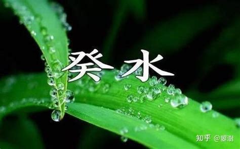 壬癸水|壬水人与癸水人的区别及用神，壬癸水在八字中的意义和论法